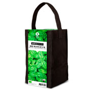 Kit de Cultura Ervas Aromticas - Manjeric